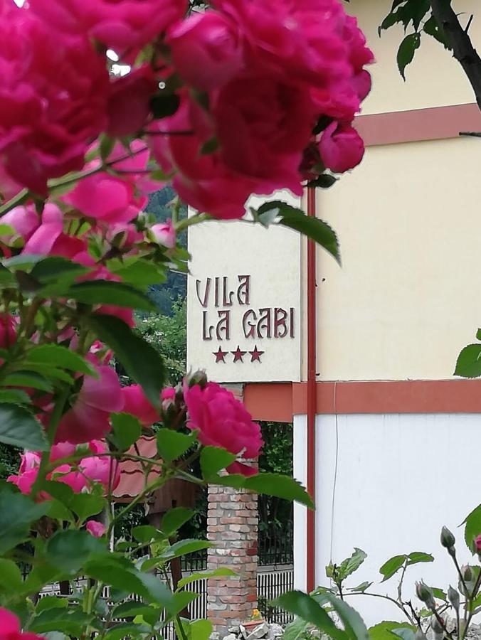 La Gabi Hotel Azuga Exterior photo
